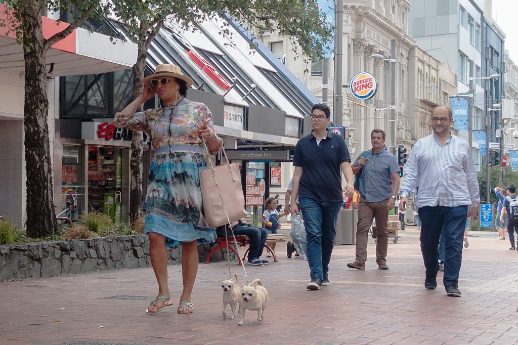 Person with miniature dogs walking up Cuba Street